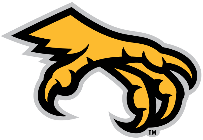 Kennesaw State Owls 2012-Pres Alternate Logo v2 diy iron on heat transfer